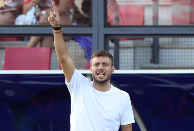 Martín Anselmi - Botafogo